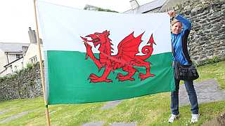 walisische Flagge